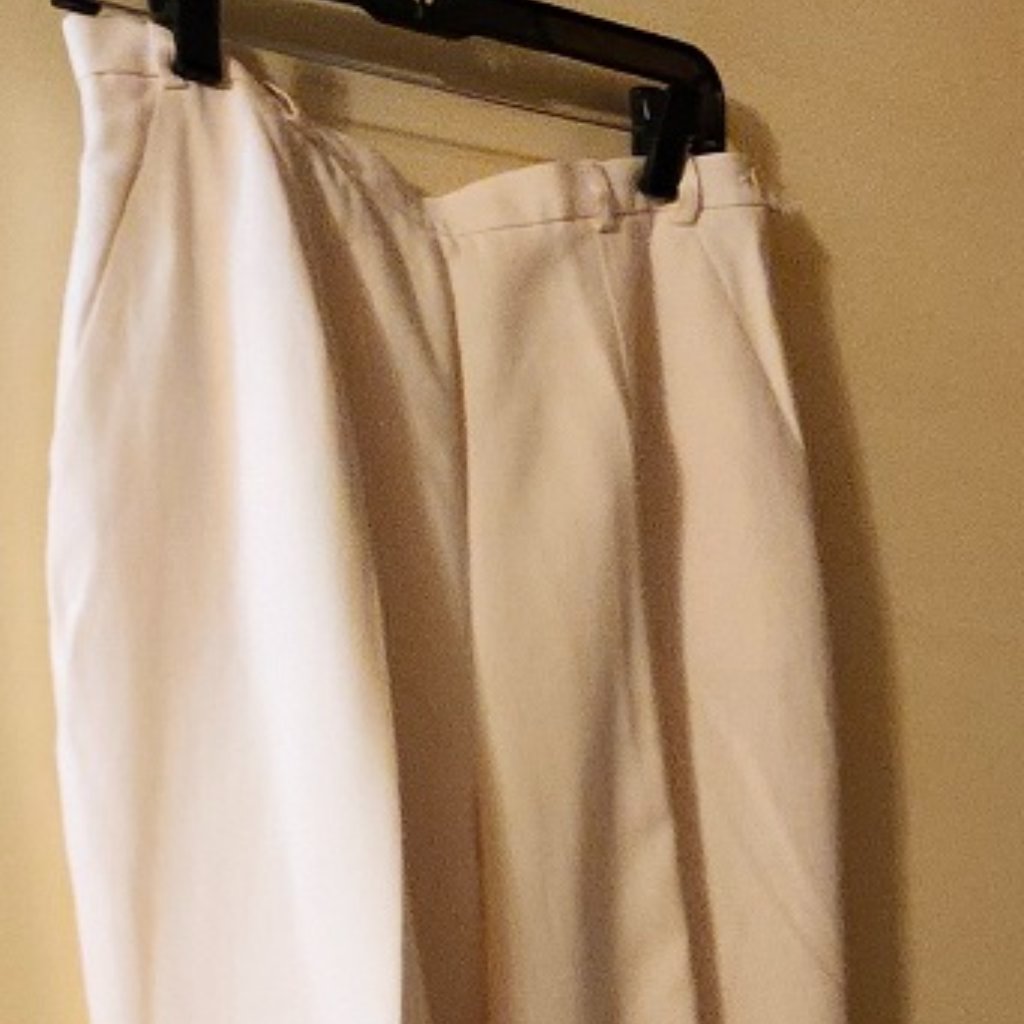 Ann Taylor Silk Linen Womens Pants